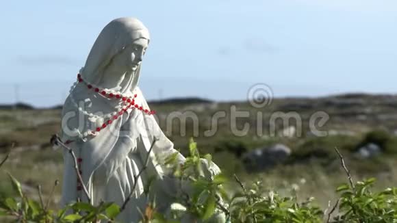 玛丽母亲雕像在田野附近视频的预览图