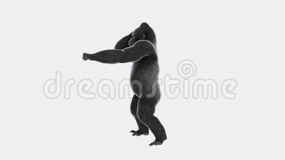 大猩猩嘻哈乐舞视频的预览图