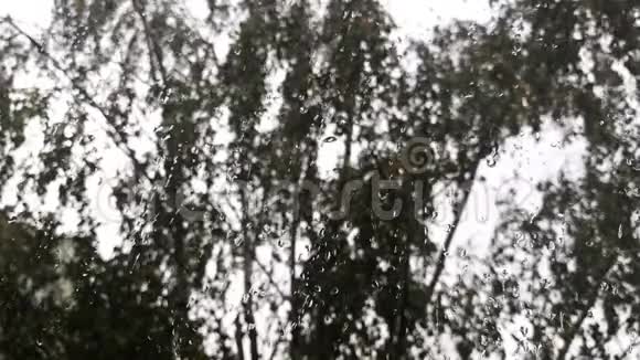在移动树木的背景下滴在玻璃上视频的预览图