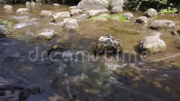 湍急的河流中的岩石视频的预览图