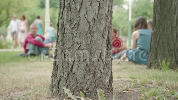 聚焦树体和分散人的背景老树的纹理视频的预览图