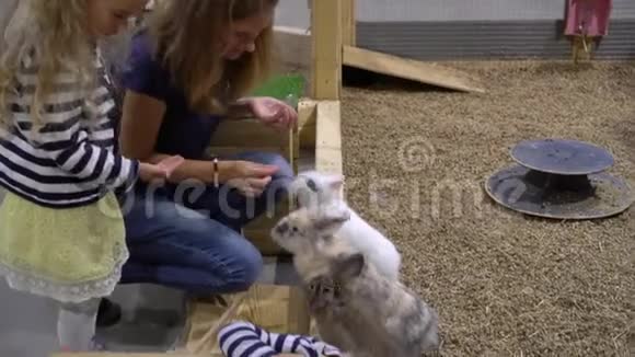 家庭在农场喂兔子孩子们和妈妈一起参观动物园万向节运动视频的预览图
