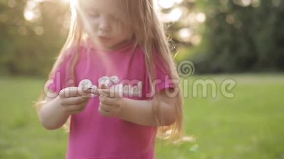 可爱的小女孩带着小马尾巴在草地上摘花花瓣视频的预览图