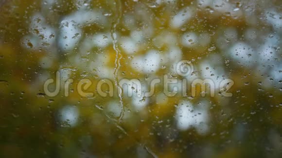 雨点落在窗玻璃上落在模糊的树木上视频的预览图