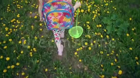 孩子们腿在草地上穿过开花的蒲公英视频的预览图
