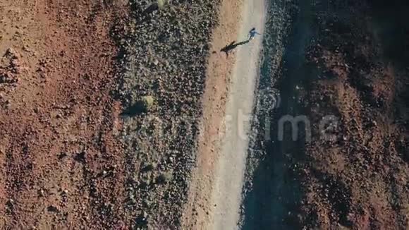 鸟的视野穿着牛仔服的年轻女孩沿着通往火山的跋涉之路泰德国家公园特内里费视频的预览图