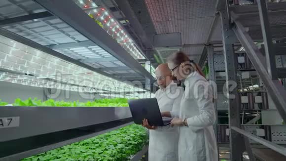现代垂直耕作制度及其雇员照顾植物垂直堆放的植物食品生产视频的预览图