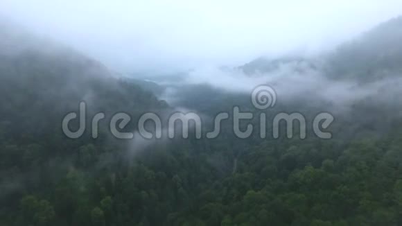 云层笼罩着山林视频的预览图