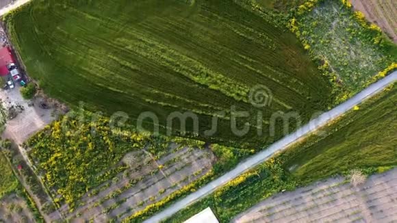 空中俯瞰葡萄园的田野视频的预览图