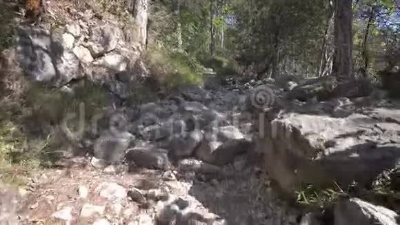 夏季晴天在山坡森林上沿石径移动观景视频的预览图