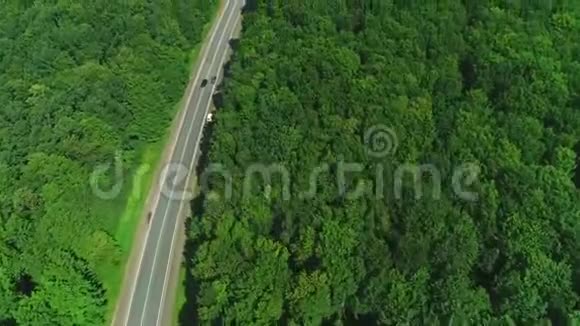 田与林带之间4K路汽车在路上互相超车视频的预览图