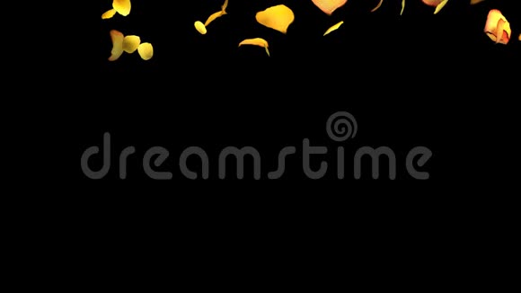 黄色玫瑰花瓣视频的预览图