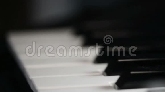 沿着钢琴键到雏菊花视频的预览图