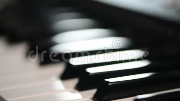 沿着钢琴键到雏菊花视频的预览图