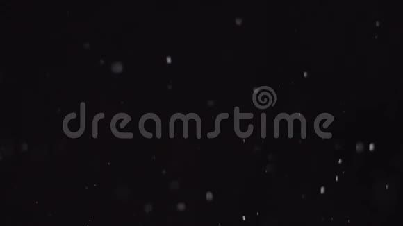 冬天的雪落下来的雪孤立在黑色的背景上大大小小的雪花视频的预览图