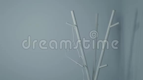 白色铁架带衣架现代风格视频的预览图
