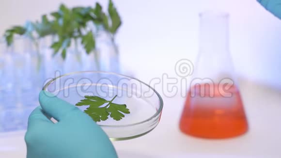 在现代实验室中食品科学家利用滴管和植物合成化合物进行实验视频的预览图