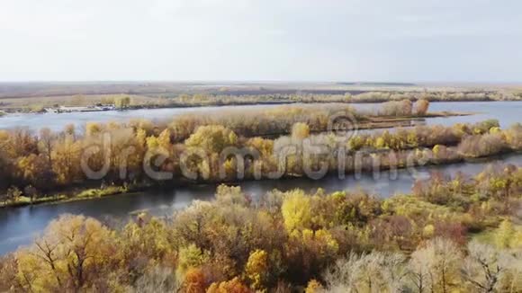 秋天的湖草视频的预览图