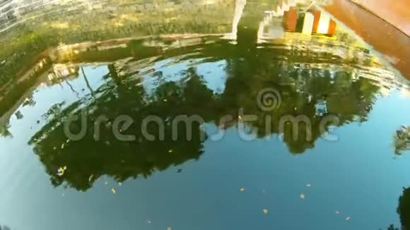 树和楼梯反映池塘昆德与许多鱼在老印度教寺庙KamakhyaMaa视频的预览图