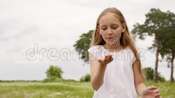 可爱的少年女孩把雏菊花瓣从手掌吹到相机无忧无虑的年轻女孩用手吹着花瓣视频的预览图