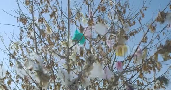 塑料垃圾包裹植物树枝视频的预览图
