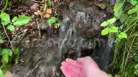 一位女游客徒步旅行者从天然的山泉中收集清澈的水从绿草和苔藓中涌出视频的预览图