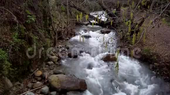 森林雨林河流梯级仍然是录像视频的预览图