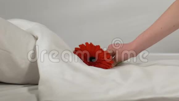 女服务员把花放在新床上酒店房间里很干净视频的预览图
