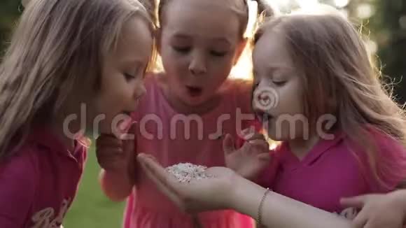 三个顽皮的女孩吹在成人的手上的花瓣上视频的预览图