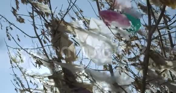 树枝上的塑料垃圾地球的塑料污染特写镜头视频的预览图