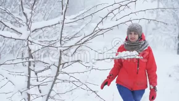 冬天一个女人穿过白雪皑皑的树林女人的手在一片白雪皑皑的森林里洒下树枝上的雪视频的预览图