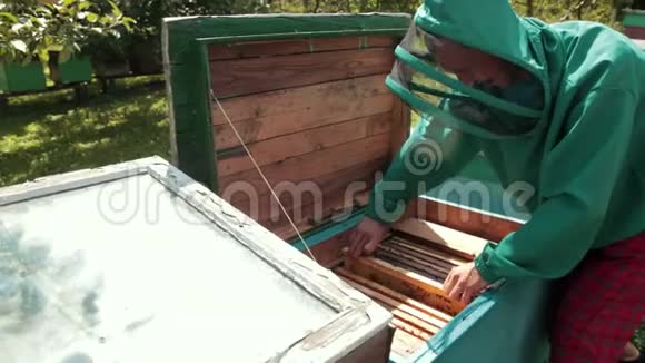 蜜蜂蜂巢的框架穿绿色特殊衣服的养蜂人收获蜂蜜视频的预览图
