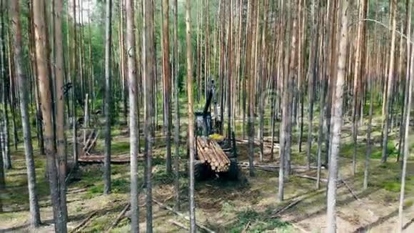 一辆拖拉机在拖车里移动树干环境问题毁林伐木视频的预览图