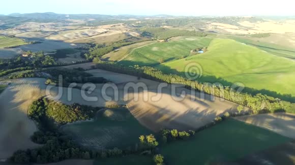 用无人机拍摄自然景观美丽的山丘森林田野和葡萄园视频的预览图