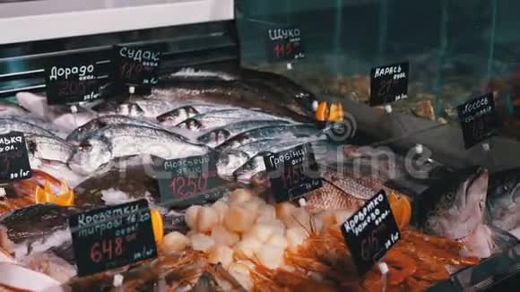 新鲜海冰鱼与价格标签是出售在商店窗口视频的预览图