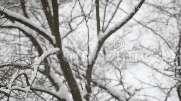 外面下雪冬季一个人在背景中行走的模糊轮廓慢动作视频的预览图