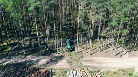 一辆拖拉机在森林里种树环境问题毁林伐木视频的预览图