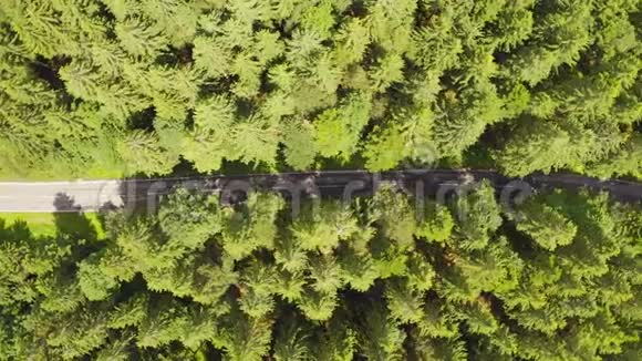 从上到下的鸟瞰用汽车飞越森林道路两边生长着绿树树林在森林里开车视频的预览图