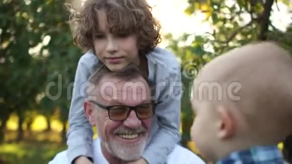 日落时分可爱的一家人在苹果园休息父亲天成熟的男人和他的两个孙子在视频的预览图