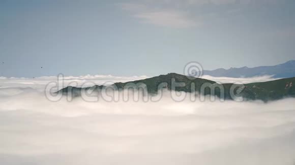 被云海包围的森林山视频的预览图