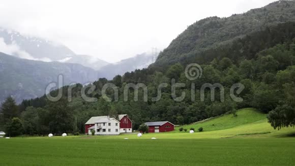 参观美丽的挪威山谷有传统的红白相间的房子视频的预览图