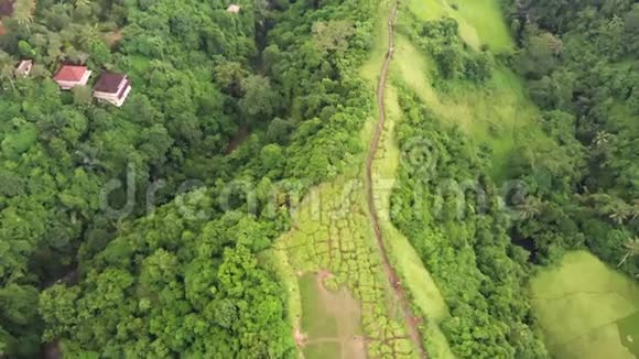 在巴厘岛乌布德村艺术家漫步坎布汉岭步行的空中景观视频的预览图