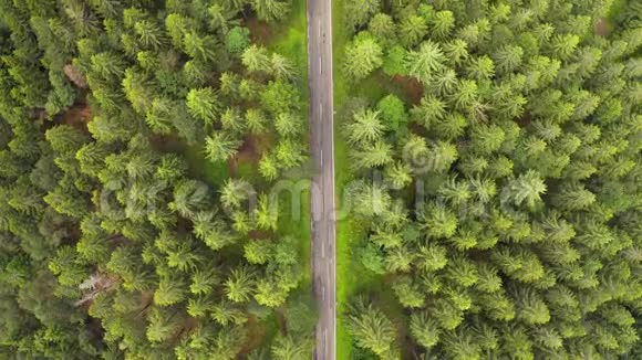 从上到下的鸟瞰用汽车飞越森林道路两边生长着绿树树林在森林里开车视频的预览图