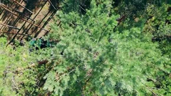 现代拖拉机成堆的树干砍伐森林和伐木概念视频的预览图