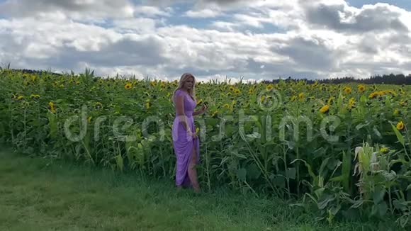美丽的年轻女子站在田野里穿着一件紫丁香的连衣裙向日葵视频的预览图