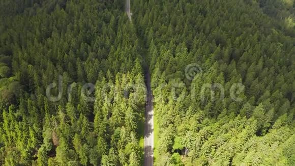 空中景色飞越两条车道的森林道路汽车移动的绿色树木的树林生长两侧汽车行驶视频的预览图