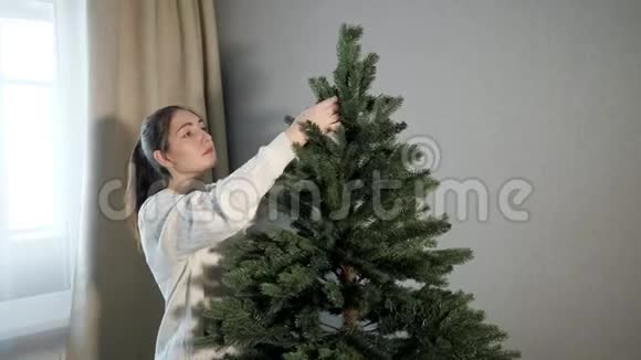穿着毛衣的幸福女人把绿色圣诞树剪直视频的预览图