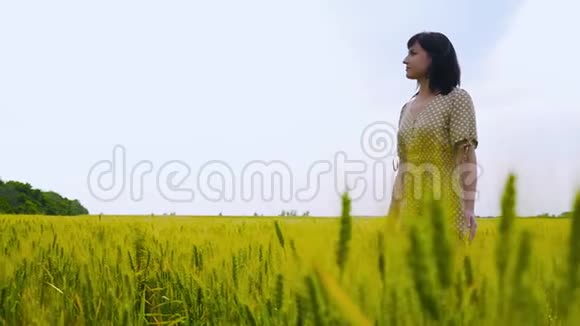 一个穿着连衣裙的小女孩高兴地慢悠悠地走过一片绿色和黄色的麦田用手摸着耳朵视频的预览图