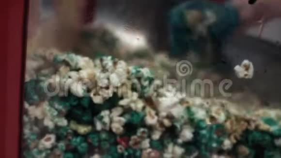 波普玉米电影院里的一台炸玉米机视频的预览图