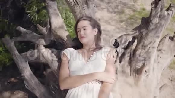 一位迷人的年轻女孩一头深色长发穿着一件白色的夏装躺在干树上视频的预览图